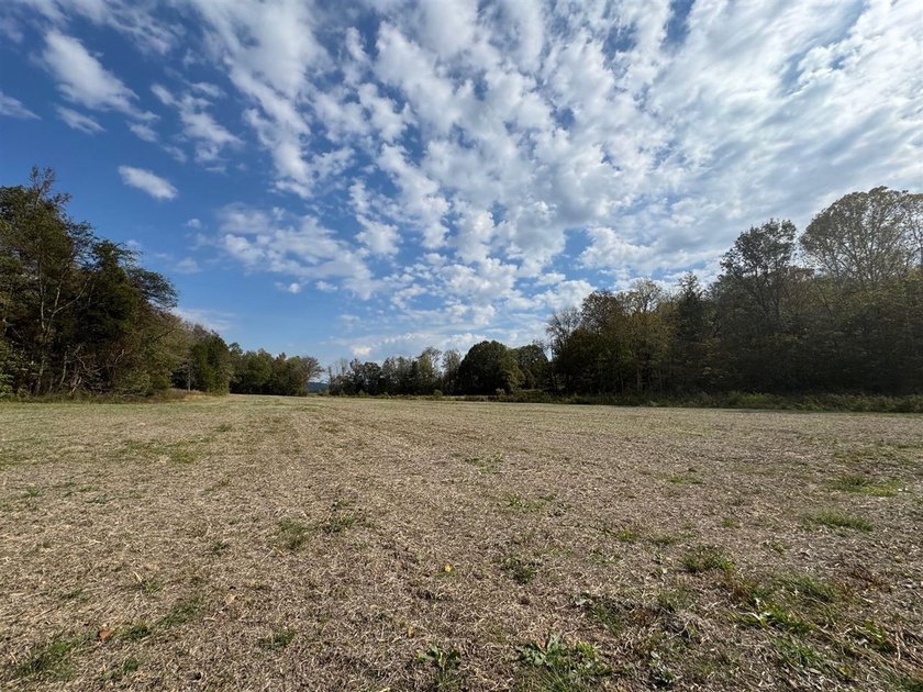 208.48 Surveyed acres of paradise best describe this beautiful - photo 44