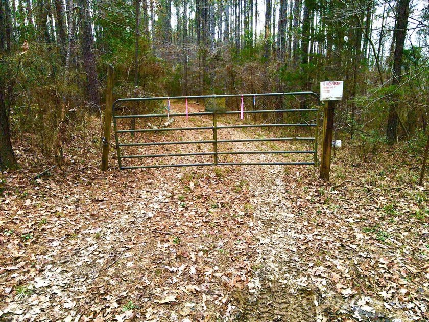 EXPLORE A 60+/- ACRE PROPERTY SUITABLE FOR HUNTING, TIMBER - photo 6