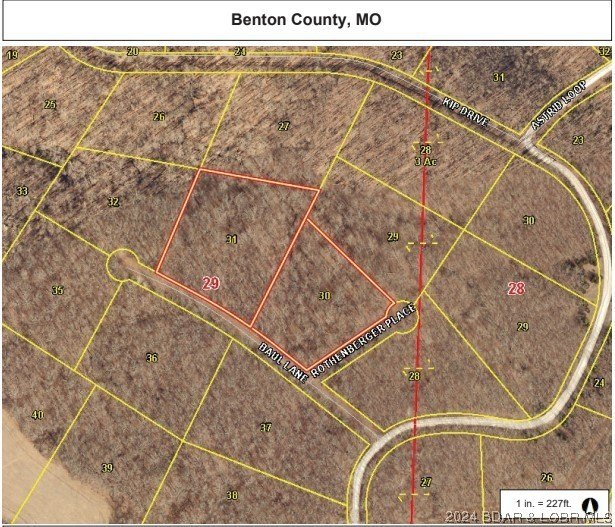 TWO SECLUDED ADJOINING TRACTS with 5.7 ACRES in the 12,800 Acre - photo 2