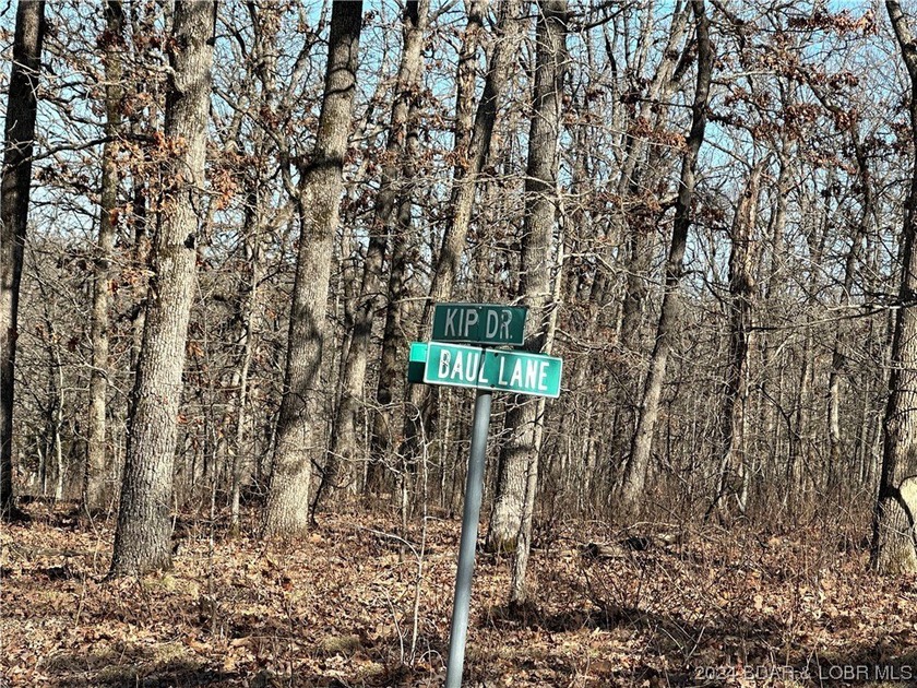 TWO SECLUDED ADJOINING TRACTS with 5.7 ACRES in the 12,800 Acre - photo 5