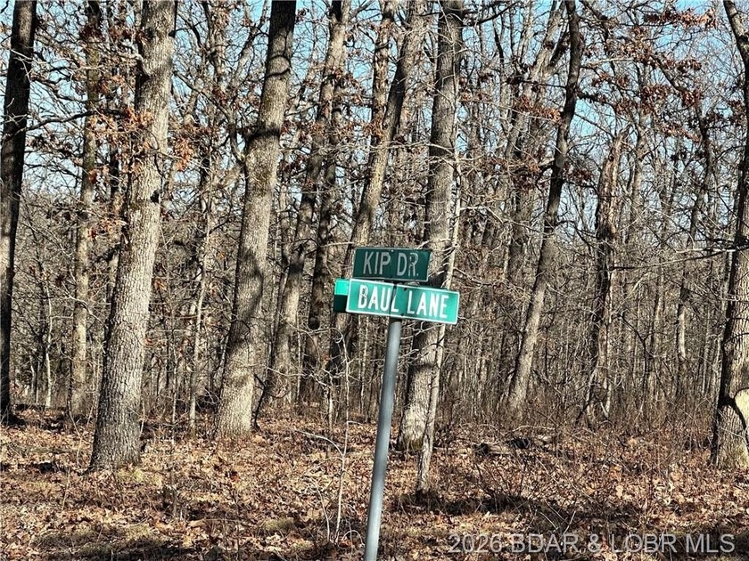 TWO SECLUDED ADJOINING TRACTS with 5.7 ACRES in the 12,800 Acre - photo 5