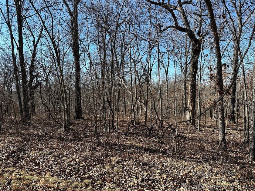 TWO SECLUDED ADJOINING TRACTS with 5.7 ACRES in the 12,800 Acre - photo 7