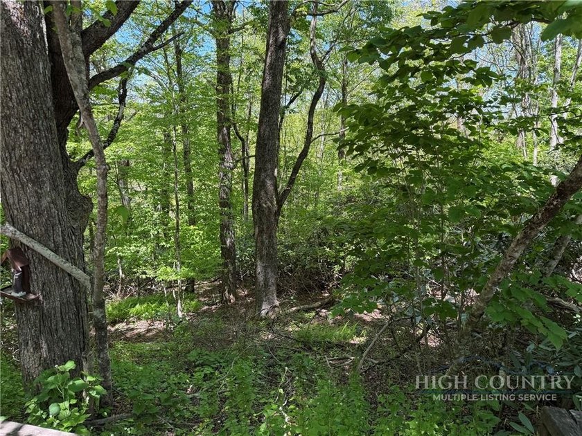 Great opportunity to build your dream home in the sought-after - photo 2