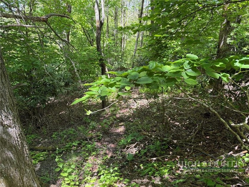 Great opportunity to build your dream home in the sought-after - photo 4