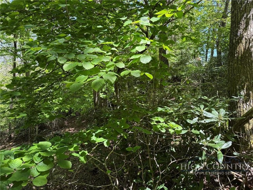 Great opportunity to build your dream home in the sought-after - photo 6