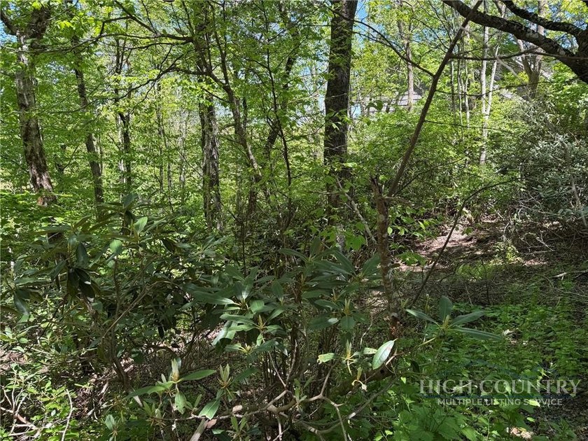 Great opportunity to build your dream home in the sought-after - photo 10