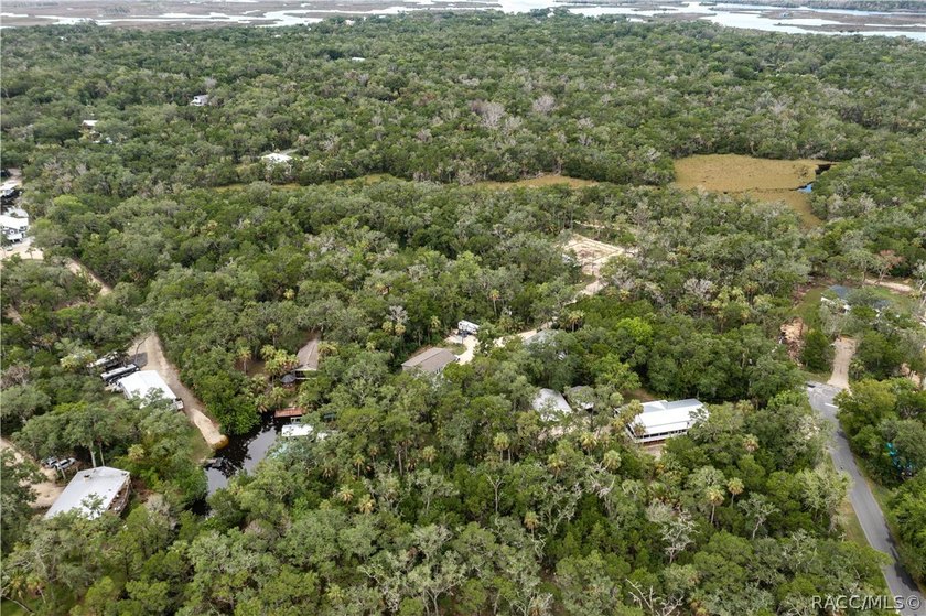 Tucked away on a beautiful wooded 1-acre waterfront lot in the - photo 47