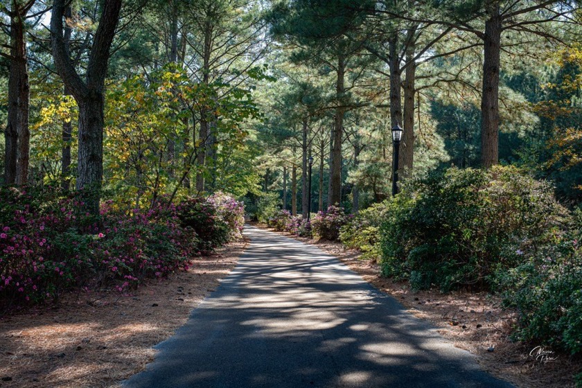 Welcome to this spacious prime building lot located in - photo 10