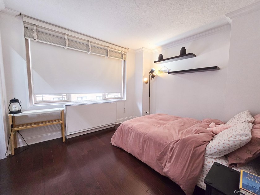 1bed, 1beth , can be Jr 4 ! use like 2 bed rooms or separate - photo 11