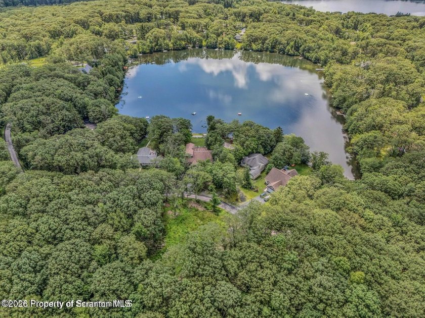 Moosic Lake Lot Cleared exactly how you'd want it to be! Wooded - photo 3