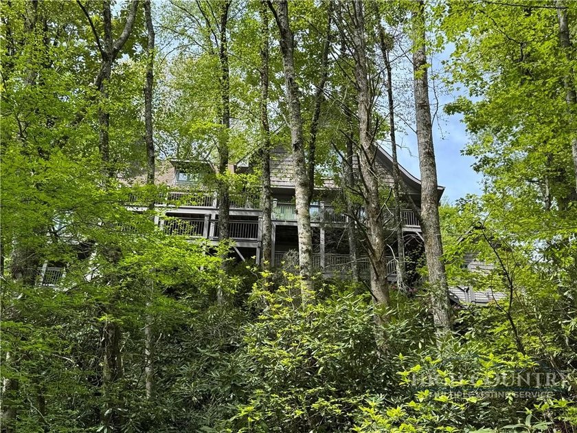 Affectionately known as *Mont Maison* this stunning contemporary - photo 2