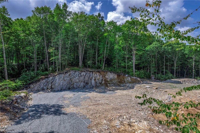 This is a one of a kind property situated in the Elk River Club - photo 8