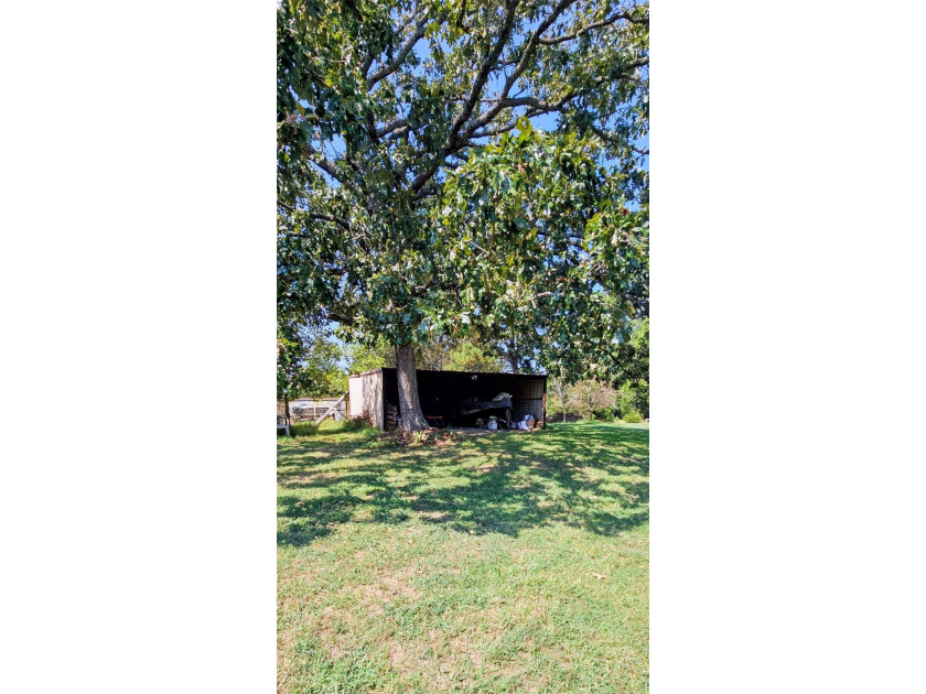 Perfect location to live and work!! 3 + acres with a 1500 sq ft - photo 3