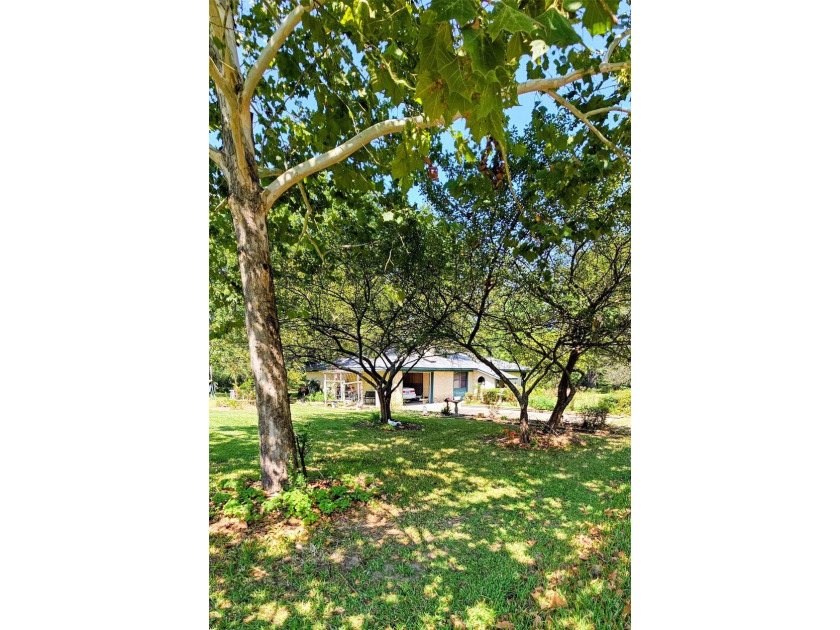Perfect location to live and work!! 3 + acres with a 1500 sq ft - photo 6