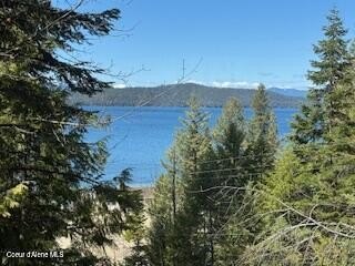 View property in the heart of Coolin! More trees can come down - photo 5