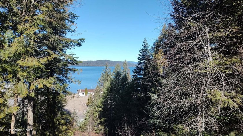 View property in the heart of Coolin! More trees can come down - photo 6