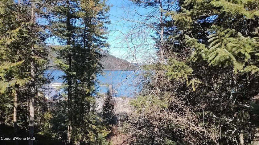 View property in the heart of Coolin! More trees can come down - photo 7