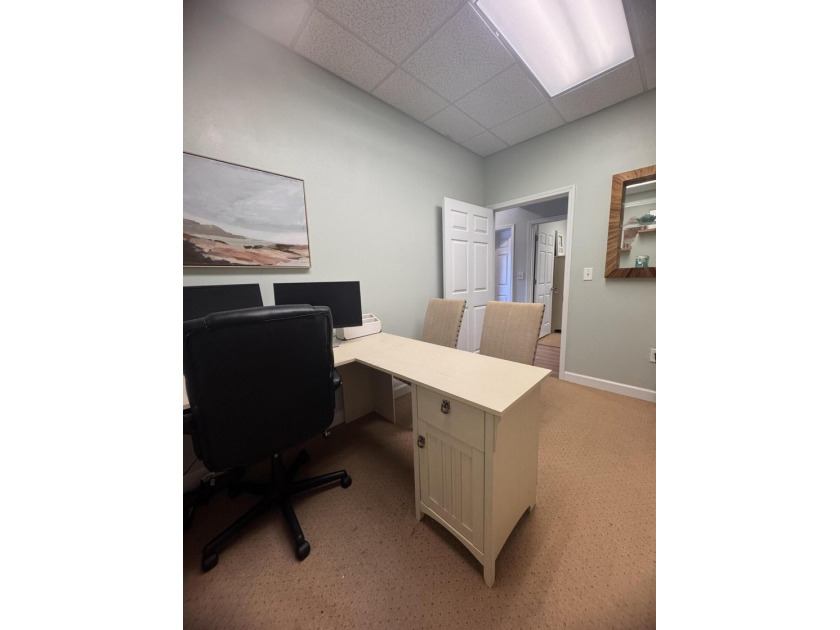 Own your office instead of leasing! Suite E at Diamond Lakes - photo 17