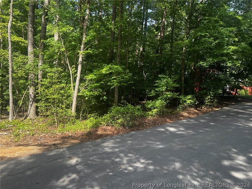 Sloped lot perfect for a walkout basement or tall crawl for - photo 3