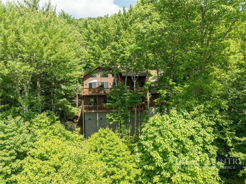 Magnificent home embraced by rhododendrons and hardwood trees - photo 9