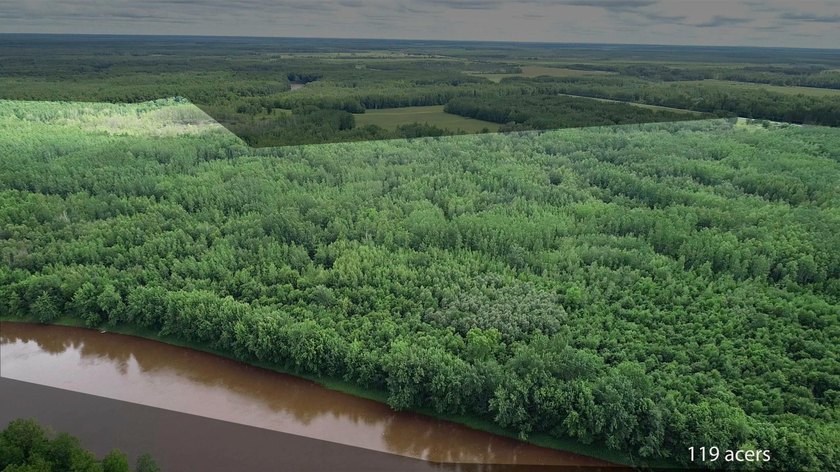 Amazing opportunity to own 119 acres of prime wooded real estate - photo 11