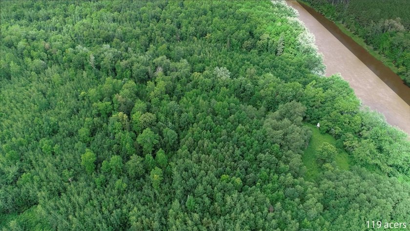 Amazing opportunity to own 119 acres of prime wooded real estate - photo 14