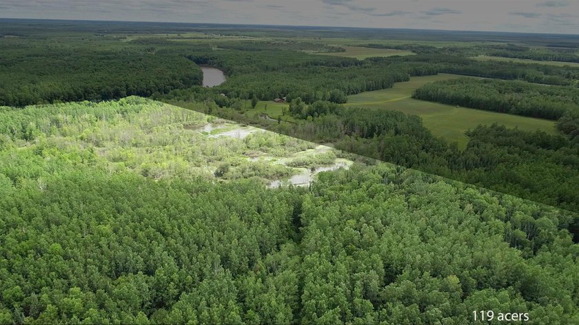 Amazing opportunity to own 119 acres of prime wooded real estate - photo 16