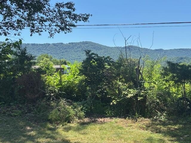 Country Living With Mountain Views, Yes Sir we have it for you! - photo 30