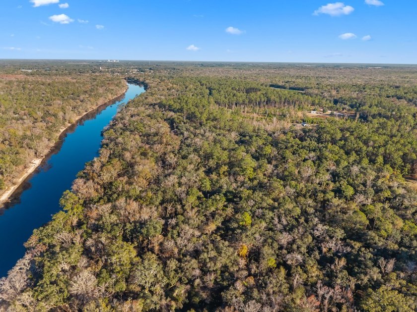 Country living at its best on this stunning 59-acre tract along - photo 14