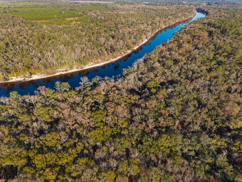 Country living at its best on this stunning 59-acre tract along - photo 16