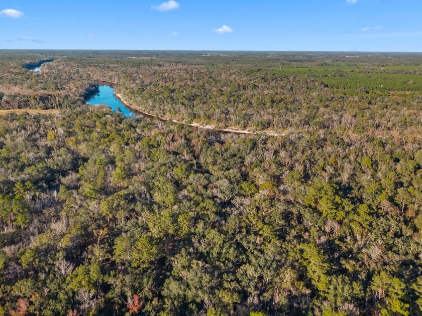 Country living at its best on this stunning 59-acre tract along - photo 17