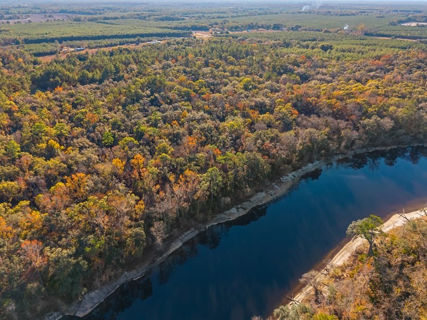 Country living at its best on this stunning 59-acre tract along - photo 19