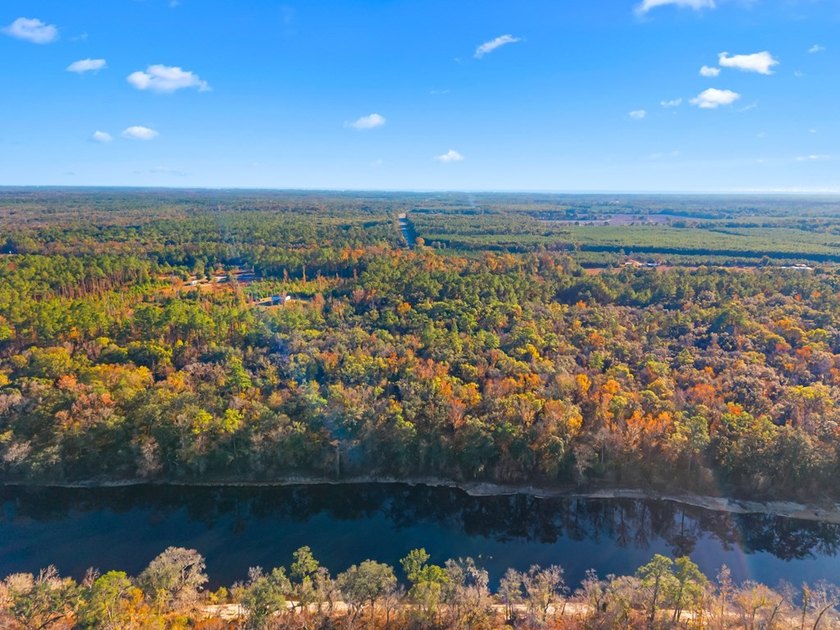 Country living at its best on this stunning 59-acre tract along - photo 23