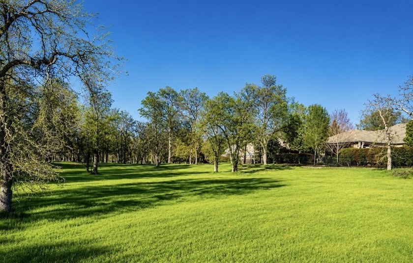 Exceptional opportunity to build your dream home in the - photo 5
