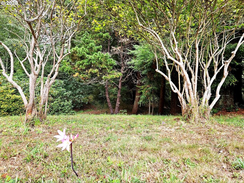An In-Town Oasis - Space, Character &amp; Natural Beauty. Tucked - photo 40