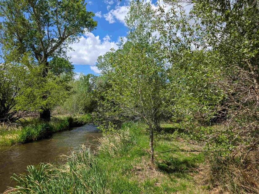 This property is true Wyoming living. 20 fenced acres. 3 - photo 3