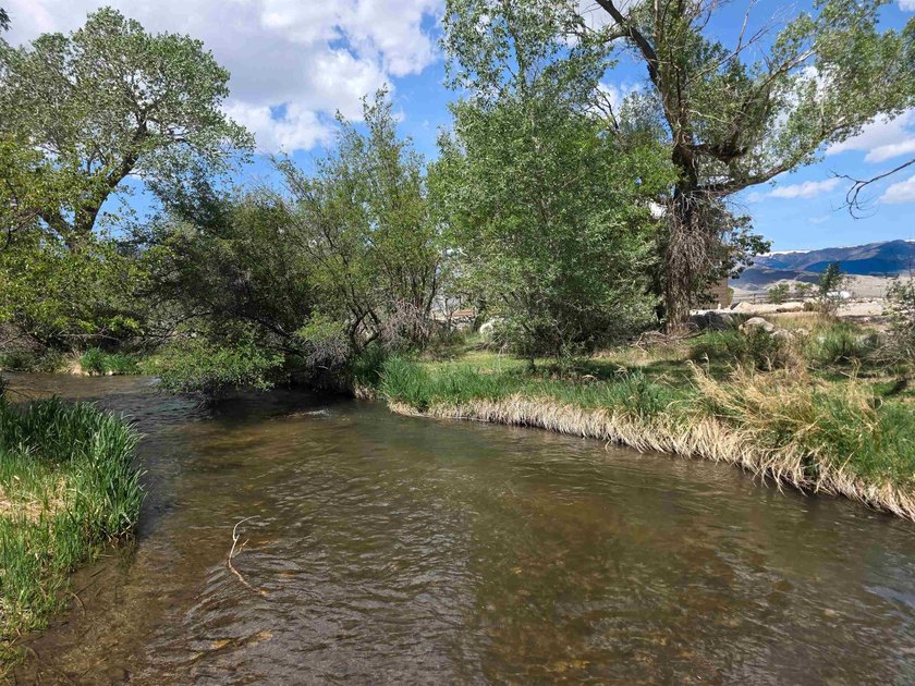 This property is true Wyoming living. 20 fenced acres. 3 - photo 4