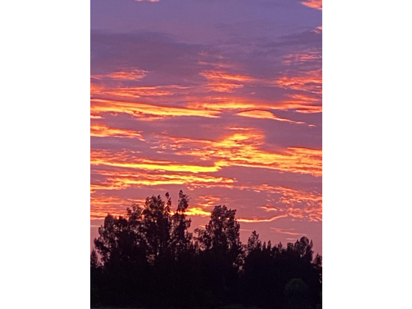 Discover tranquility in Fort Pierce with this piece of paradise - photo 6