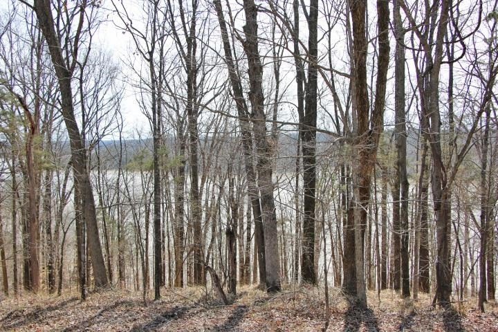 AWESOME YEAR-ROUND WATER WITH SEASONAL LAKE VIEWS! NEW PRICE! - photo 3