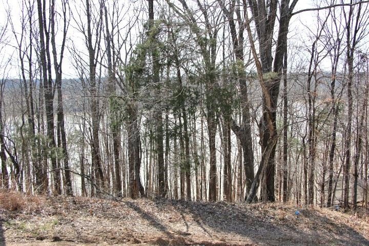 AWESOME YEAR-ROUND WATER WITH SEASONAL LAKE VIEWS! NEW PRICE! - photo 6