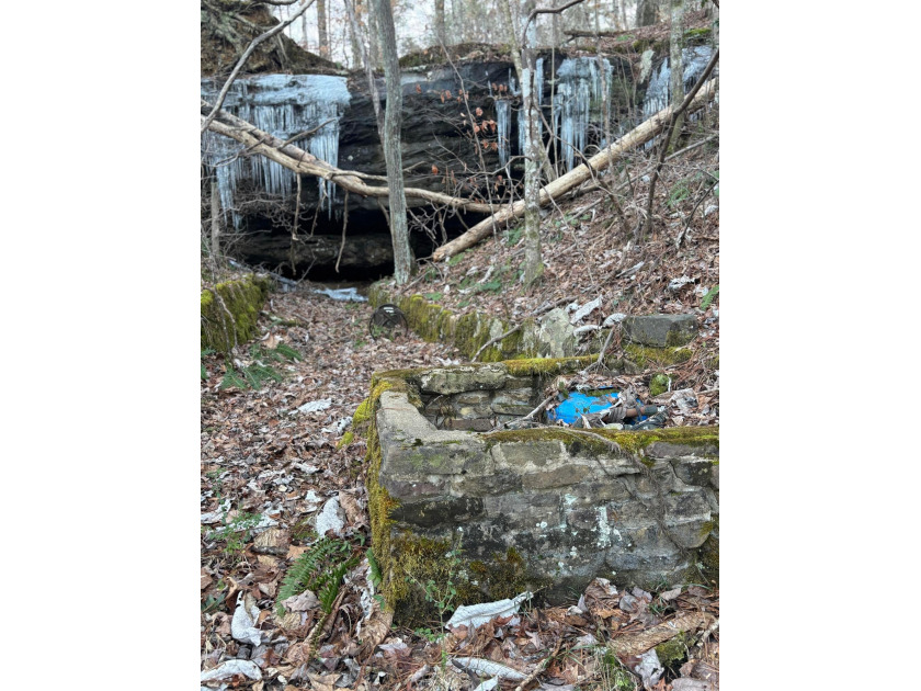 Smith Lake (West Side, Yellow Creek) Over 9 acres to live out - photo 48