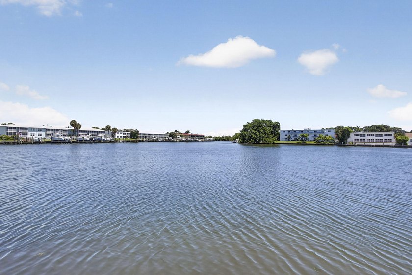 ACCEPTING BACK-UP OFFERS. Take Elevator t0 TOP FLOOR 2BR/2BA - photo 36