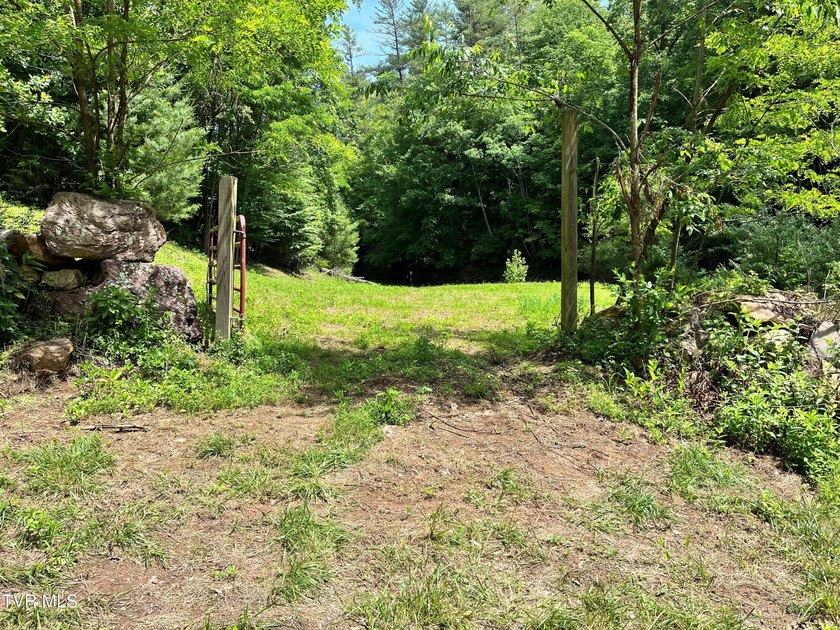 Very few Watauga Lake properties offer the whole cove, as this - photo 33