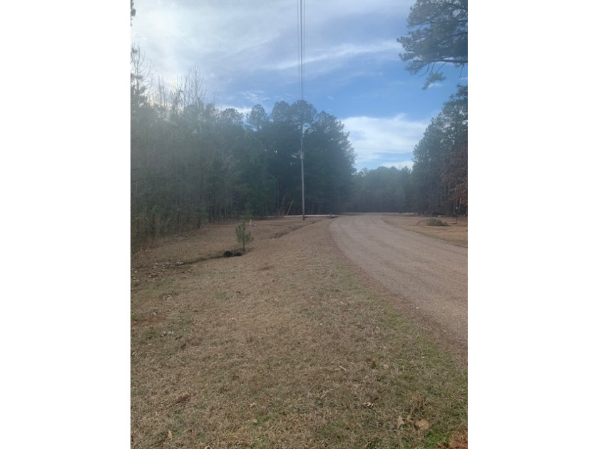 North Road View. - photo 6