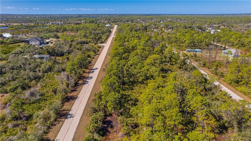 Build your dream home on this single-family residential lot - photo 11