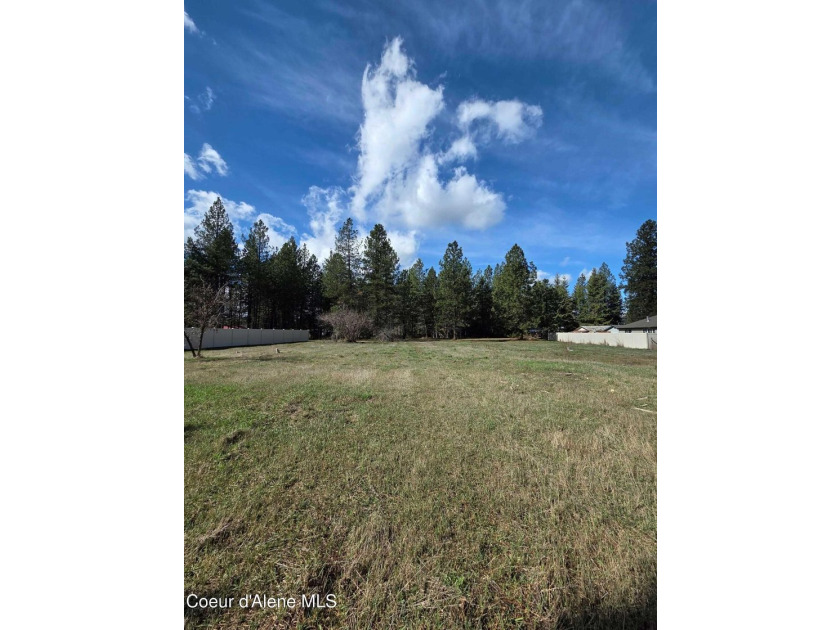 Seven adjoining city lots for a total of 1.13 acres in the - photo 3