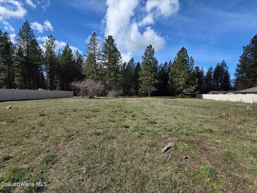 Seven adjoining city lots for a total of 1.13 acres in the - photo 6