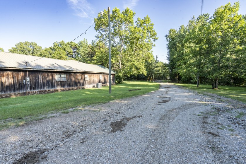 Located in Choctaw County, Alabama, Pushmataha includes 240+- - photo 3