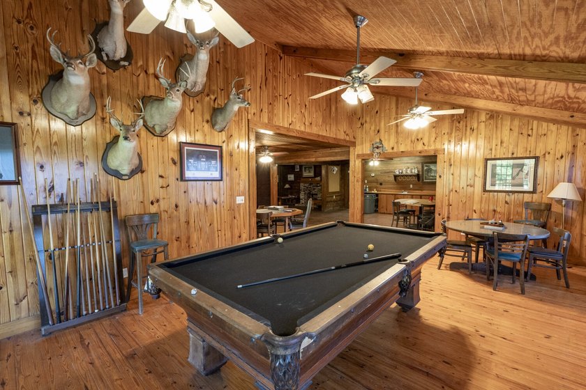 Located in Choctaw County, Alabama, Pushmataha includes 240+- - photo 6