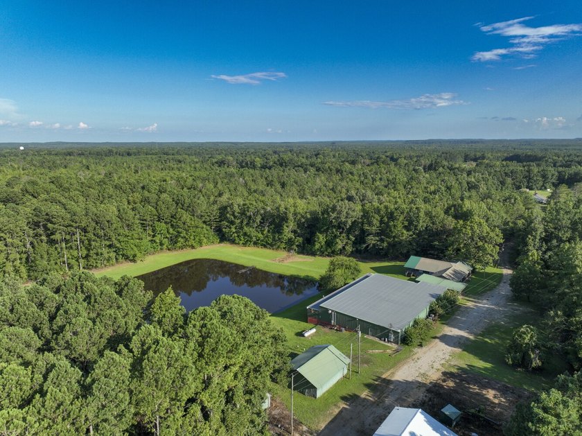 Located in Choctaw County, Alabama, Pushmataha includes 240+- - photo 10